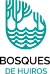 Bosque de huiros
